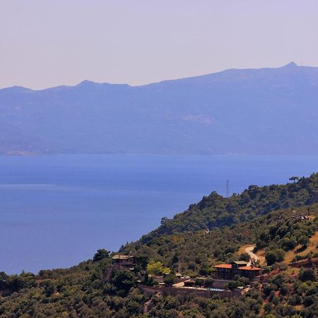 Assos Kartal Yuvasi Hotel Sazlı Extérieur photo