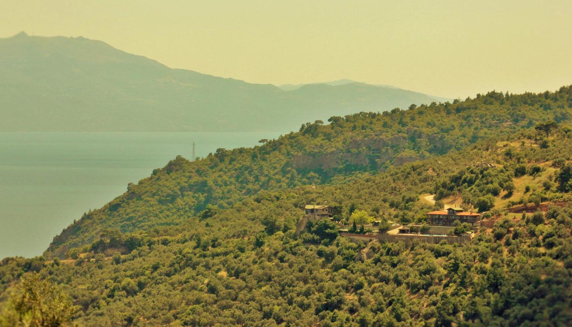 Assos Kartal Yuvasi Hotel Sazlı Extérieur photo